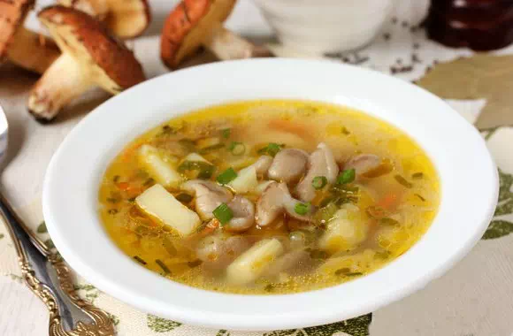 Грибной суп в мультиварке - пошаговый рецепт