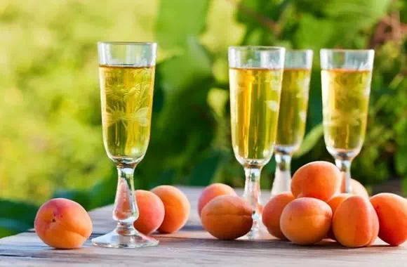 Домашнее вино из абрикосов